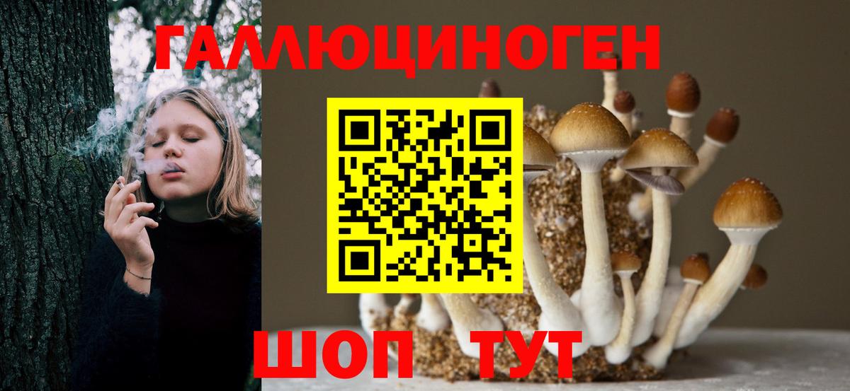 закладка  Галлюциногенные грибы MAGIC MUSHROOMS  Вход с VPN  Тобольск 